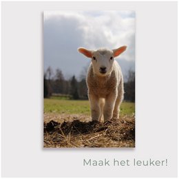 Haveplakat Lam