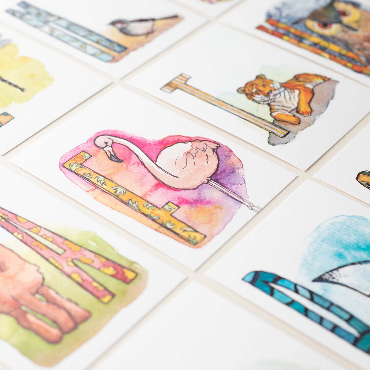 Tarjetas ABC de animales (tamaño A6)