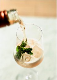alkoholfreier prickelnder Aperitif - 0,75l | GUUBII Holunder/Zitrone