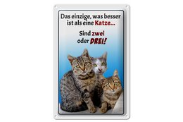 Blikskilt, der siger 20x30cm kun hvad der er bedre end kat