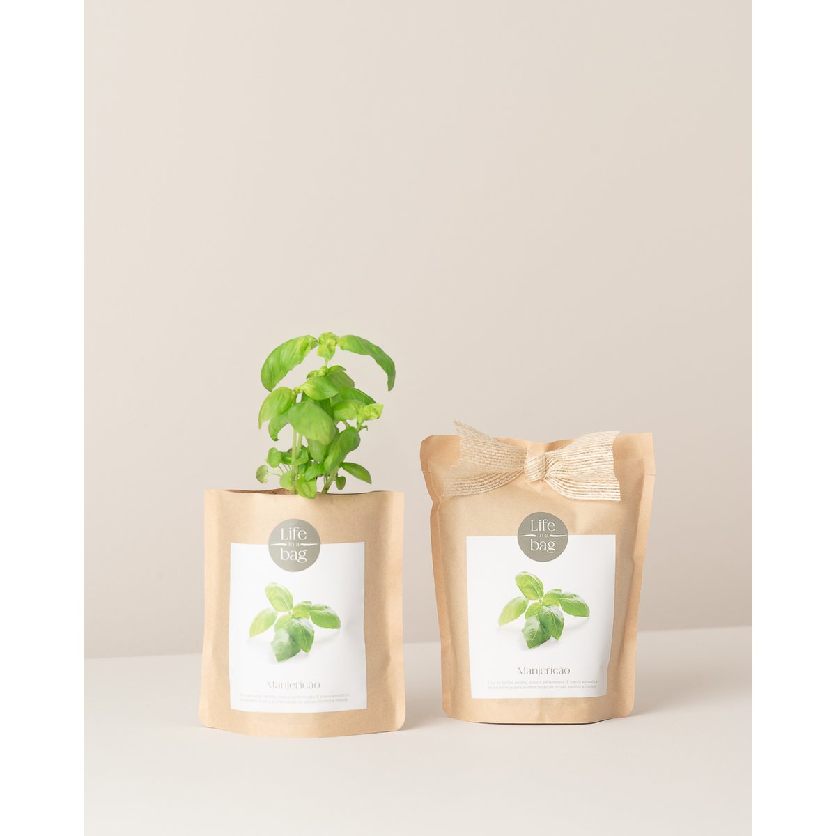Grow BAG Bazylia