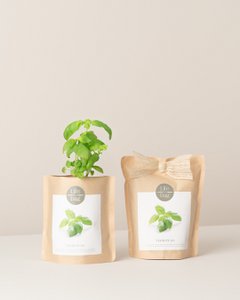 Grow Bag Basil