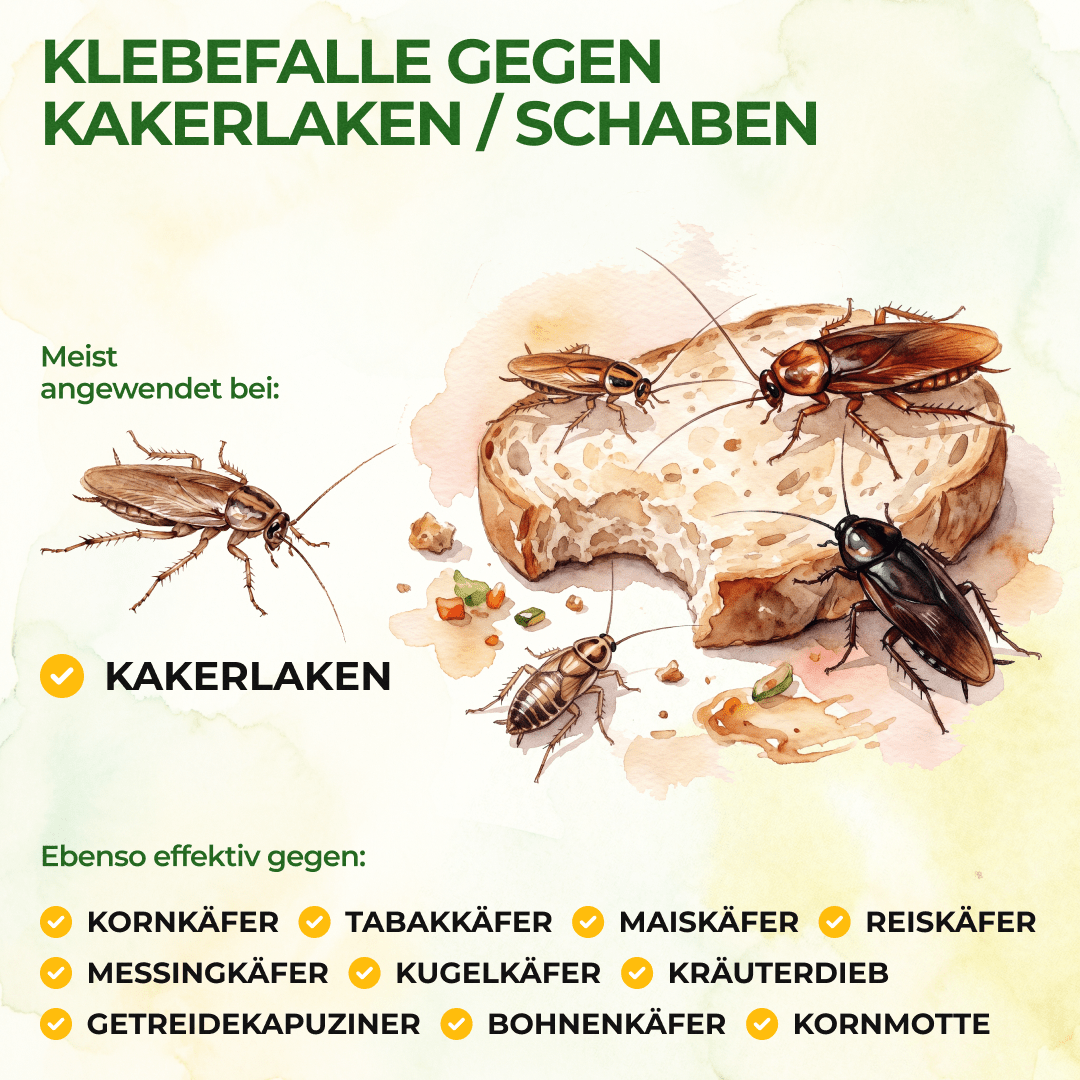 Kakerlaken / Schaben Falle