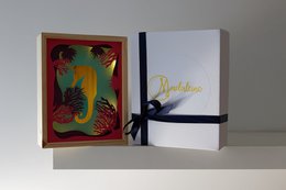 capricorn light frame