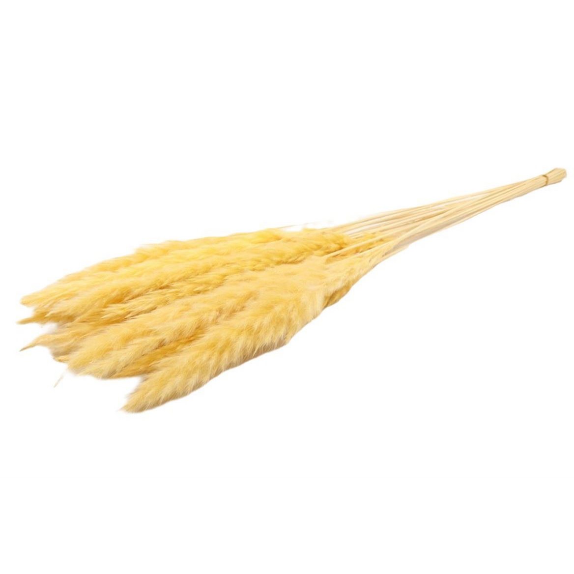 Puszyste pampasy - na pęczek - 70 cm - żółte - suszone kwiaty