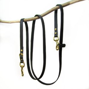 Hands-free dog leash