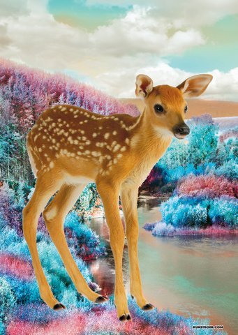 Poster Bambi, 5 Stück