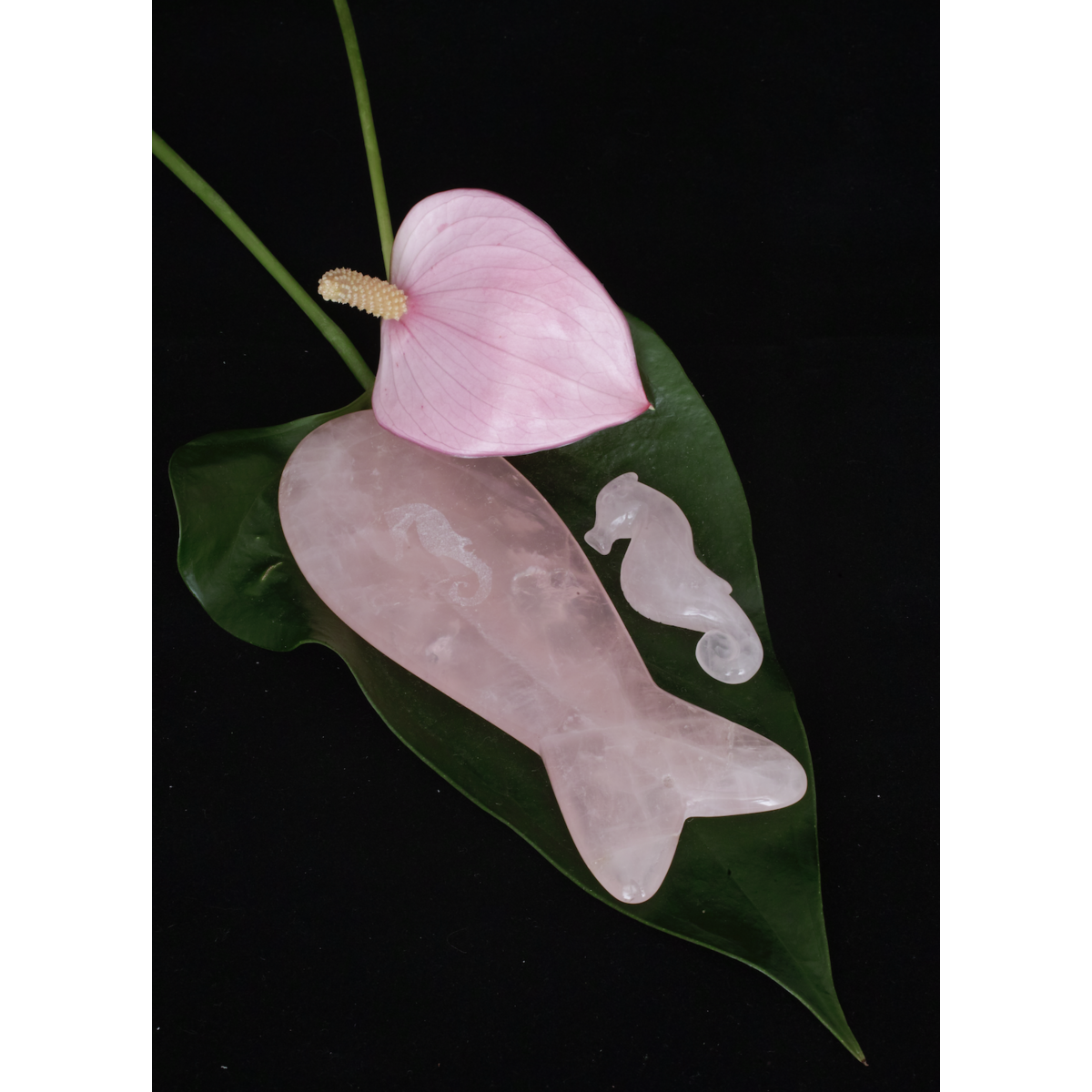 Quartz rose Gua sha queue de poisson ronde
