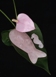 Rose Quartz Gua sha Fiskehale rund
