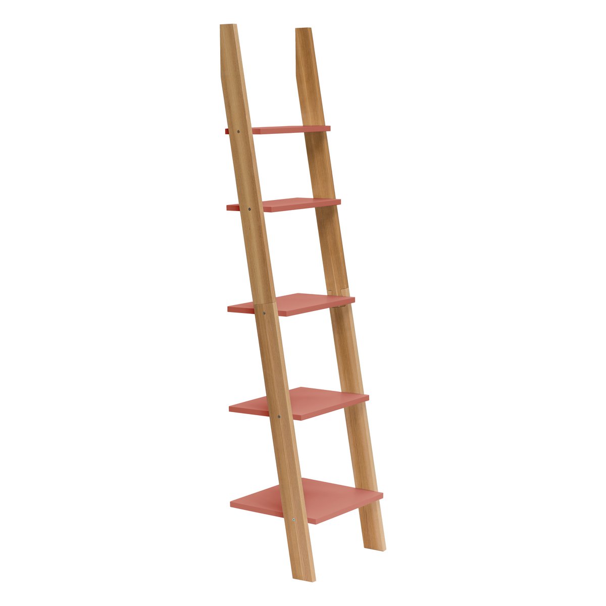 ASHME Laddershelf