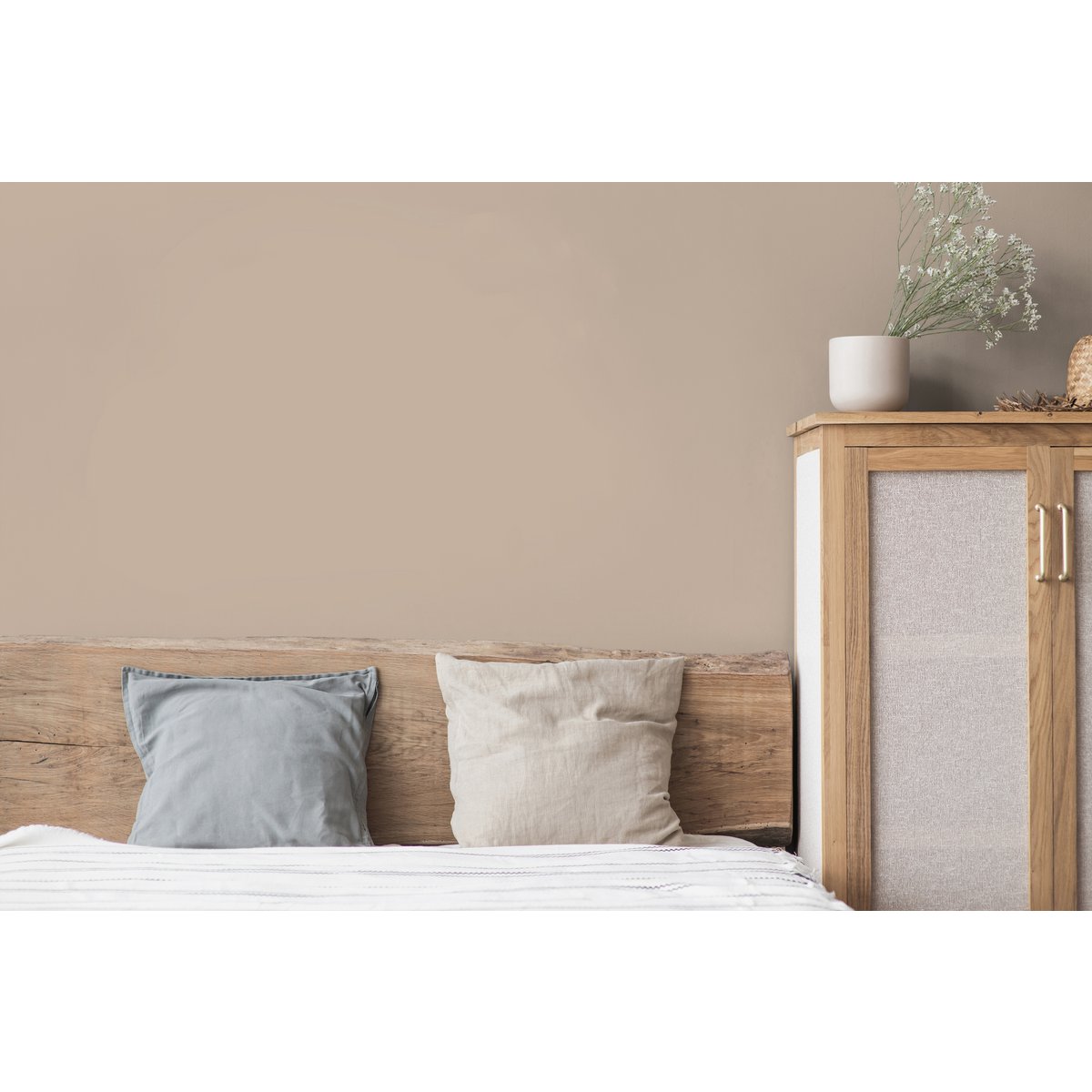 Wall Colour The Color Kitchen Matte Mushroom TCK6015