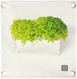 The Green PocketsÂ® AMMA White