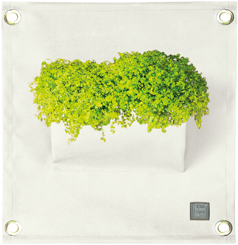 The Green PocketsÂ® AMMA White