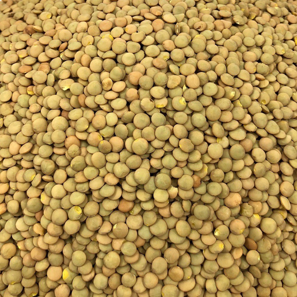 Bulk Bio Linsenblond