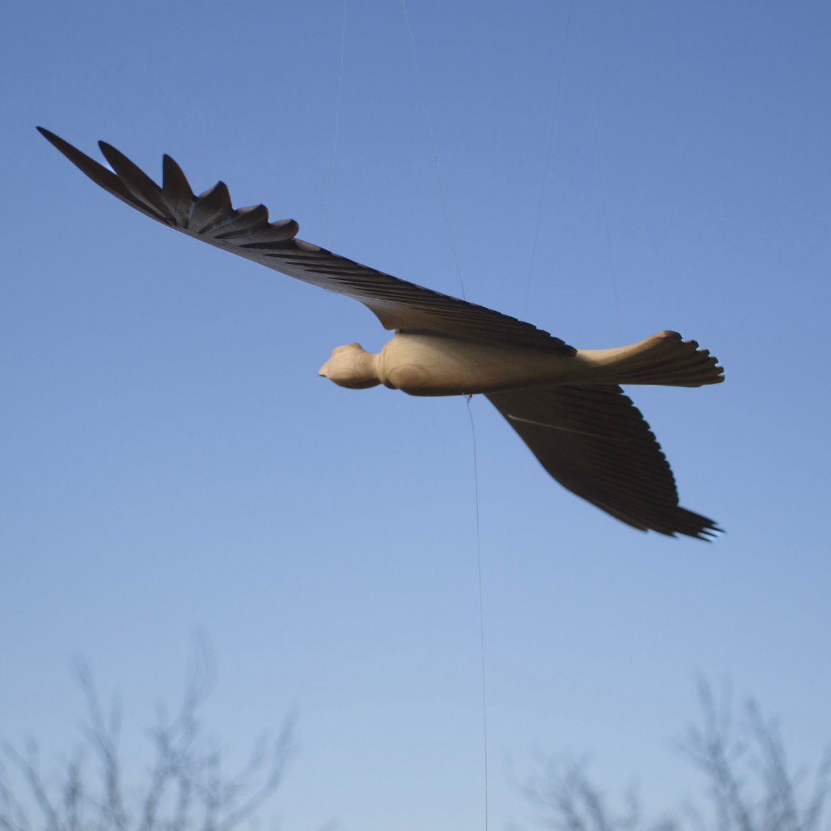 wooden birds