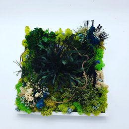Stabilized square plant table 20 x 20 cm
