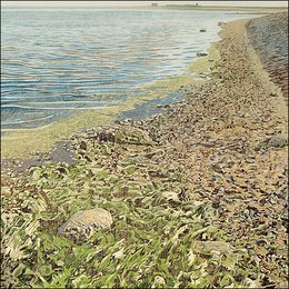 Mapping folder - Siemen Dijkstra, Waddenland