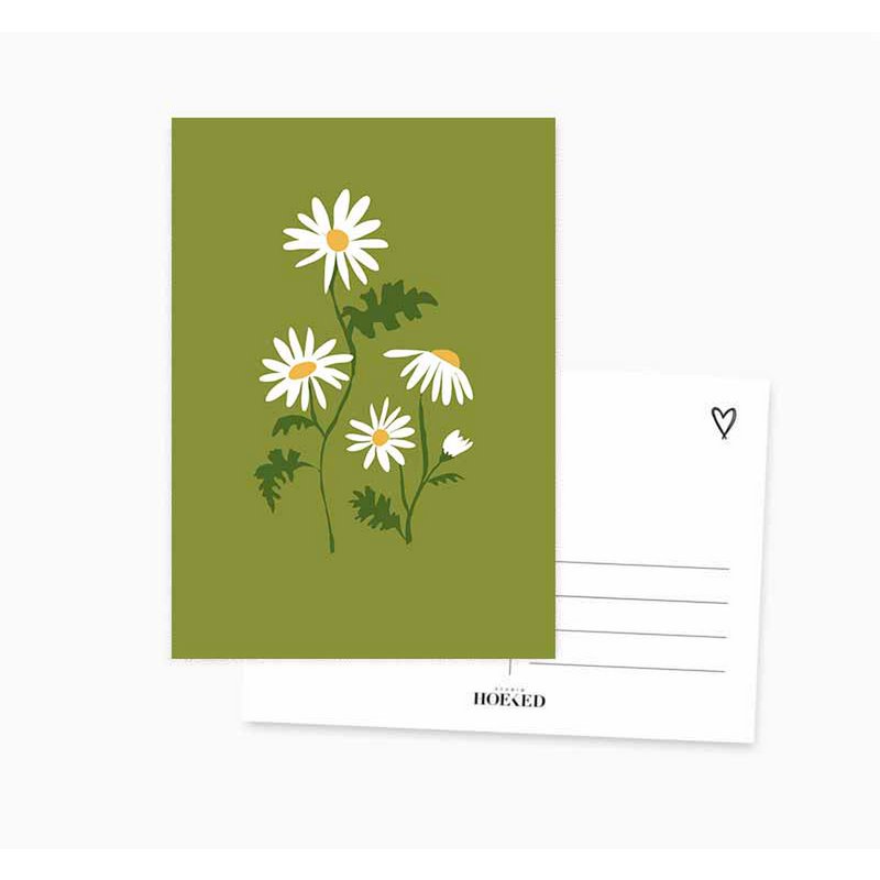 A6 Ansichtkaart || Madeliefje || Bloem 