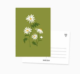 A6 Ansichtkaart || Madeliefje || Bloem 