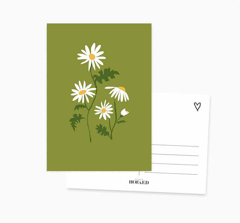 A6 Ansichtkaart || Madeliefje || Bloem 