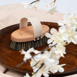 Wooden natural dry brush