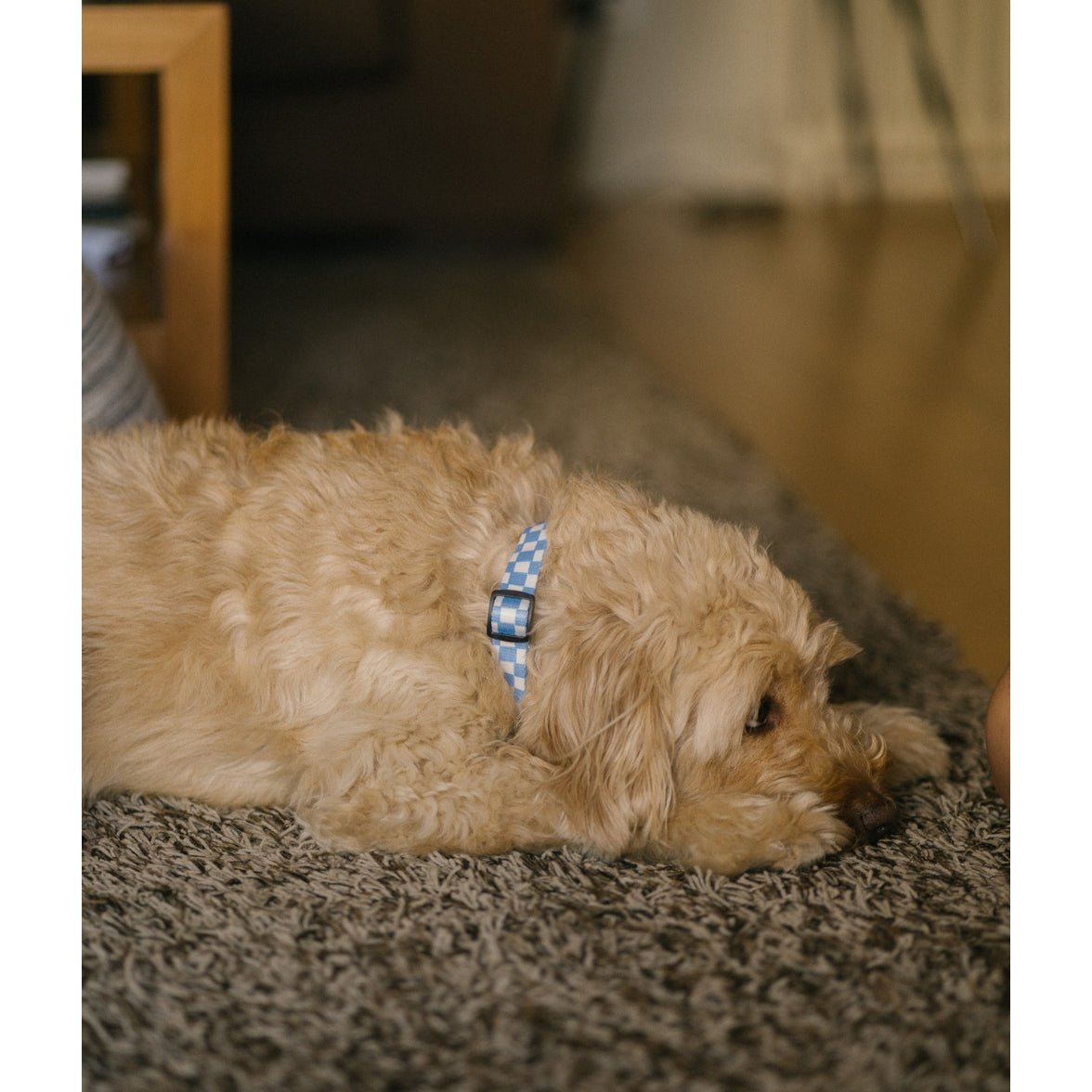 Halskette aus recyceltem PET, blaues Vichy-Design, Juno