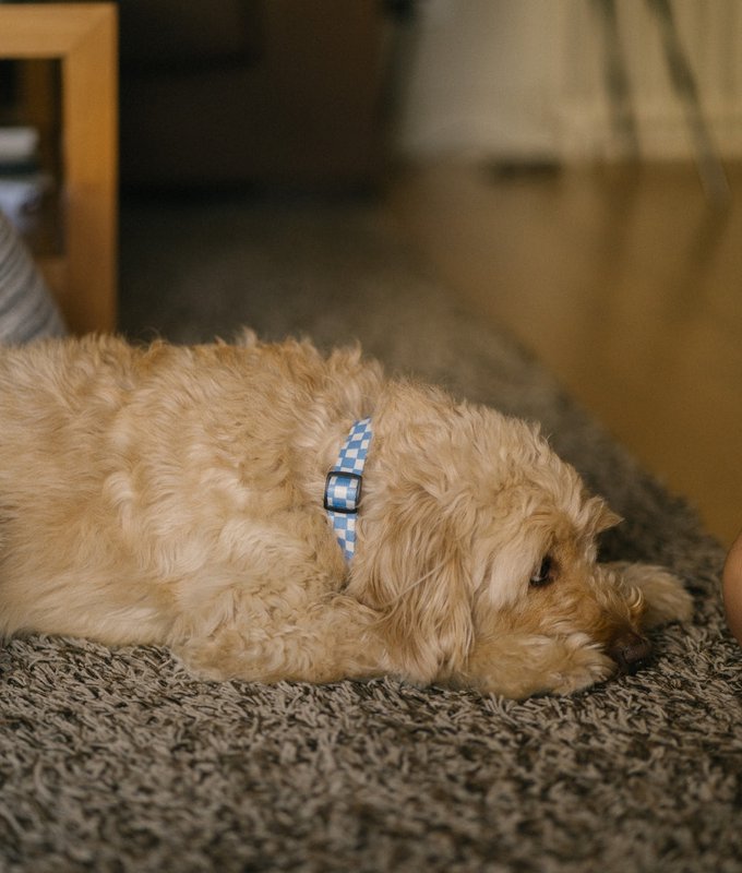 Halskette aus recyceltem PET, blaues Vichy-Design, Juno