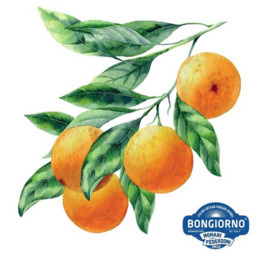 Arancio 500 ml