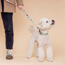 Gaston Dog Leash