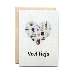 Postcard + Envelope Veel liefs!