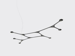 Carbon Light 12 fixture