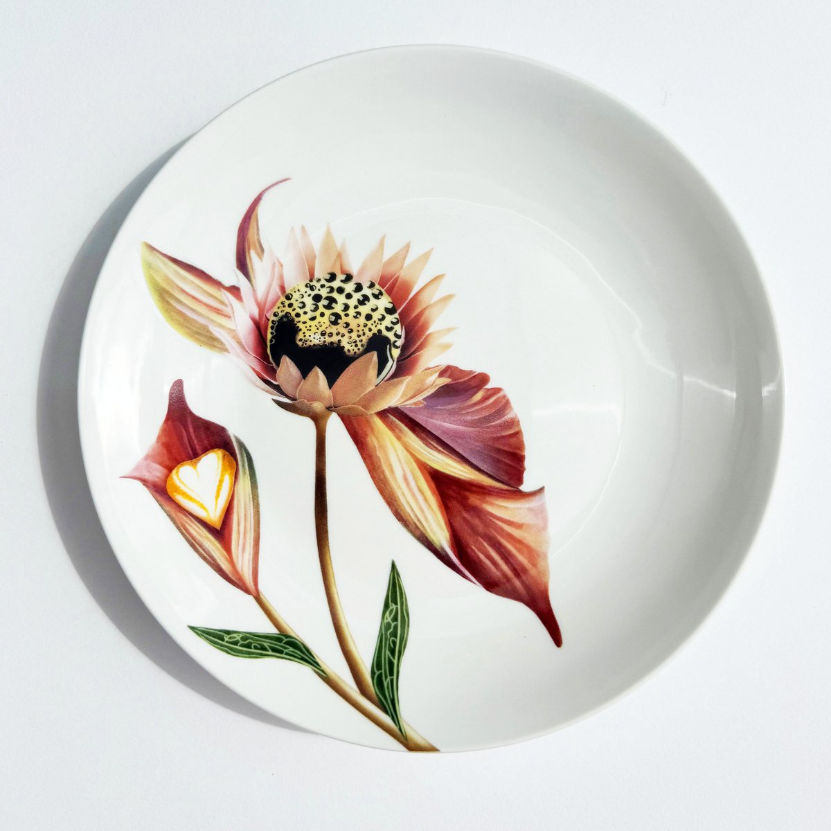 Botanical Wonders - Set of 4 breakfast plates