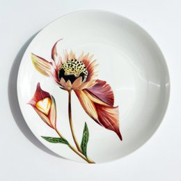 Botanical Wonders - Set of 4 breakfast plates