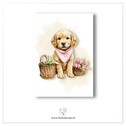 Chien avec foulard