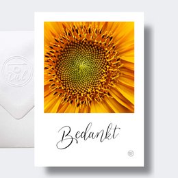 A vibrant sunflower with its intricate petals and center. The image conveys a sense of warmth and gratitude, making it an appropriate choice for a thank you card.