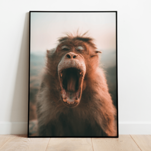 Poster monkey