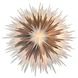 Stella-Dalia, parchment paper white-gray-white 60 cm