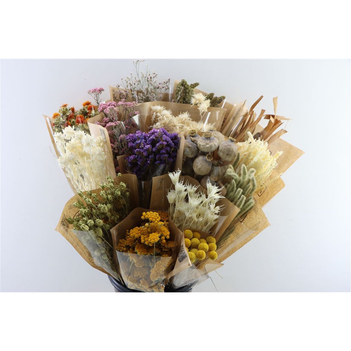 Coffret mix - 15 types de fleurs séchées