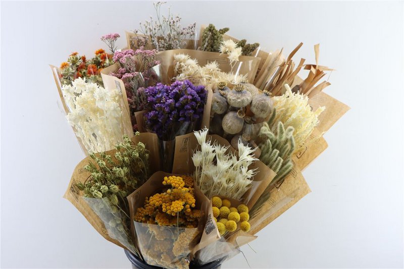 Blandingsboks - 15 typer tørrede blomster