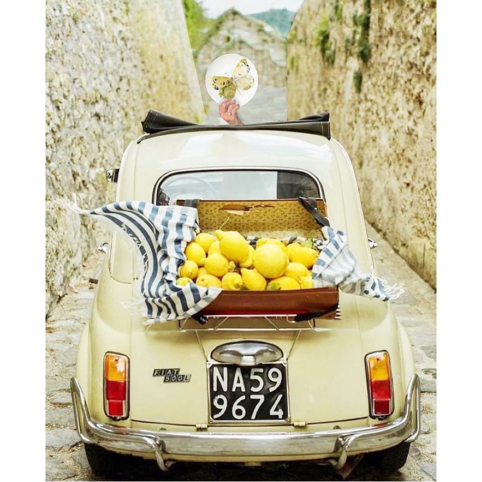 La dolce vita di una farfalla - Piatti Dolci
