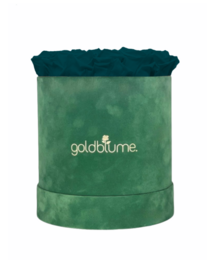 Velvet Green Collection
