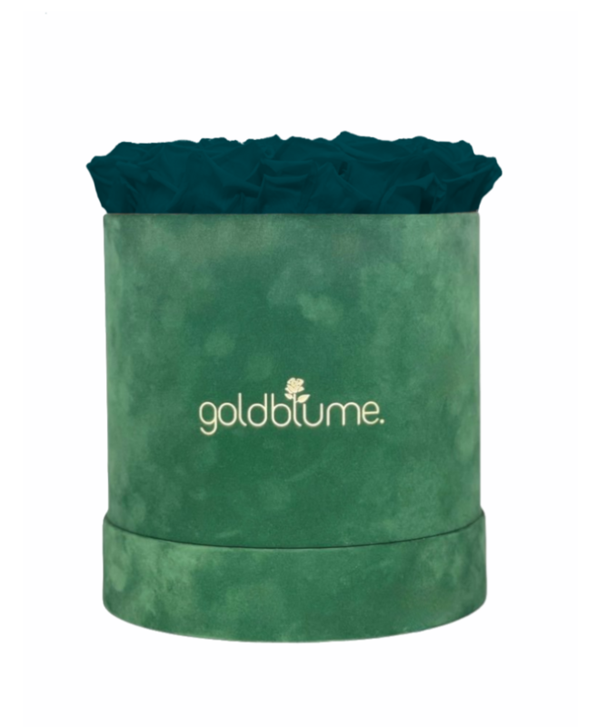 Velvet Green Collection