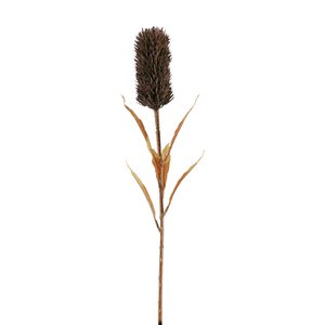 Kunstbloem rietbol kunststof vezels bruin Ø Ø? H. 77 cm