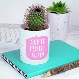 Mi sono sporcato di nuovo il vaso per piante
