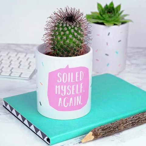 Soiled Myself Again Plant Pot