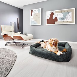 CLASSIC Hundebett - NOVA PETROL