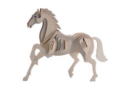 Caballo de paquete de kitings