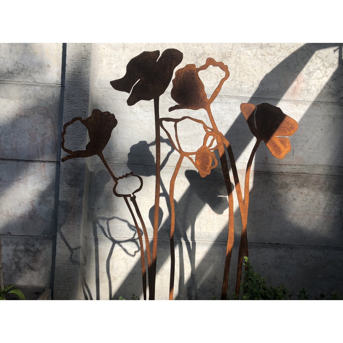 Poppy with flower bud | corten stem