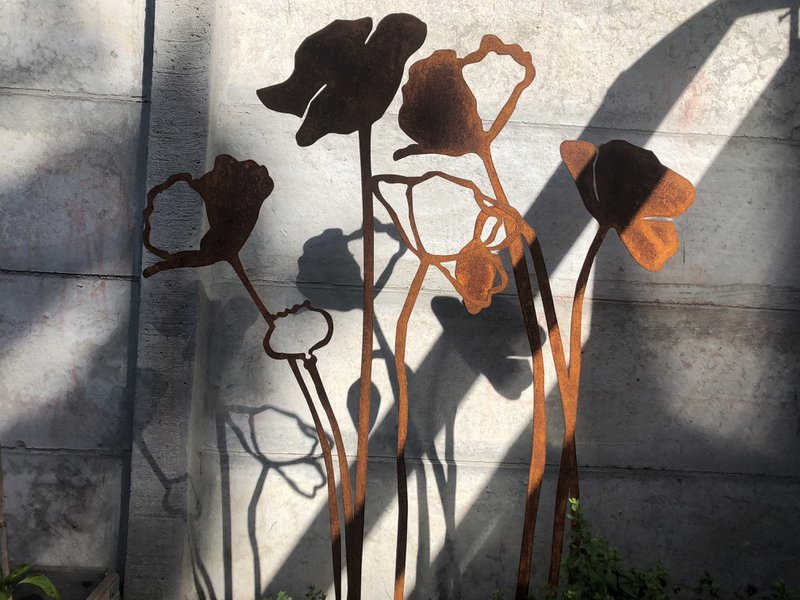 Valmue med blomsterknop | corten stål