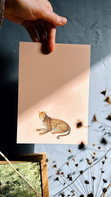 Notepad A5 Leo
